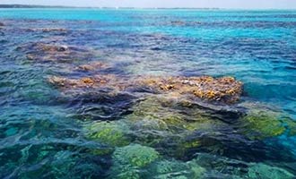 Eleuthera Itinerary, Day 2 Devils Backbone Reef