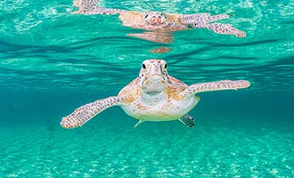 Eleuthera Itinerary, Day 1 Spanish Wells