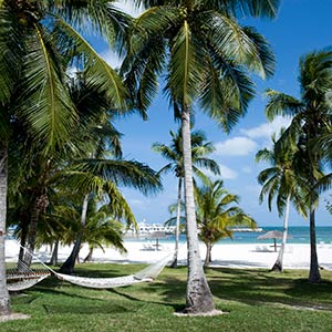 Guana Cay in Abaco, Bahamas