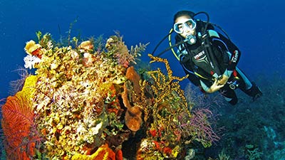 Diving off Acklins, Bahamas