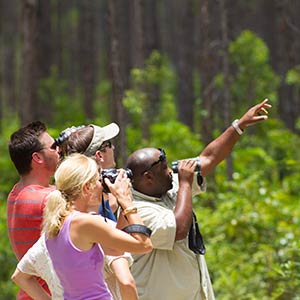 Eco-tours on Andros, Bahamas