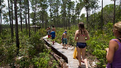 Eco-tourism on Andros, Bahamas