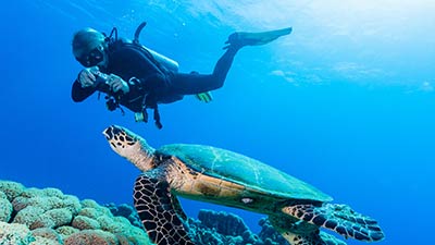 Diving off the Berry Islands, Bahamas