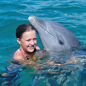 Swimming with dolphins, Grand Bahama, Bahamas