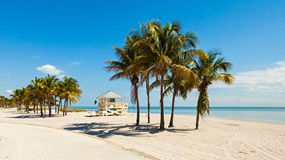 Day charter to Biscayne Bay