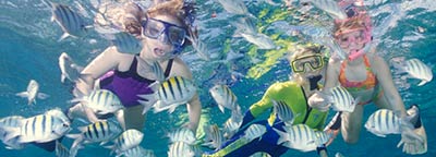 Family snorkeling